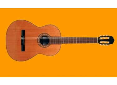 Elypse Guitars PM310 B