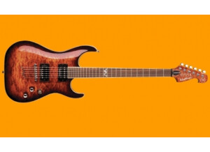 Elypse Guitars X500 Pro