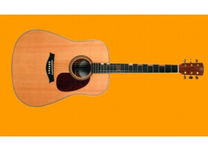Elypse Guitars Solstice