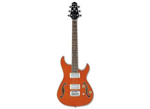 Ibanez FWD60