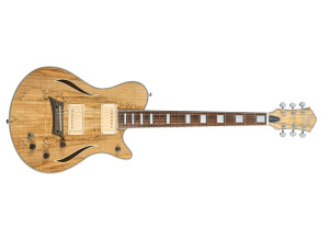 Michael Kelly Guitars Hybrid Special