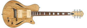 Michael Kelly Guitars Hybrid Special