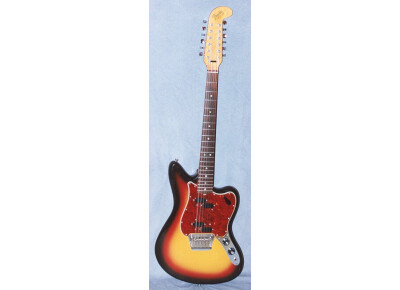 Fender Electric XII (1965-1969)