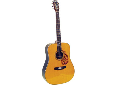 Blueridge BR160