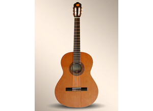 Alhambra Guitars 1 P
