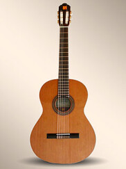 Alhambra Guitars 1 P
