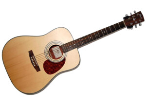 Cort Earth60