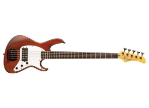 Cort GB45