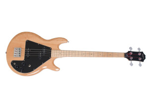 Epiphone Ripper Bass