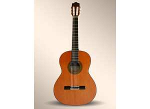 Alhambra Guitars 8 P