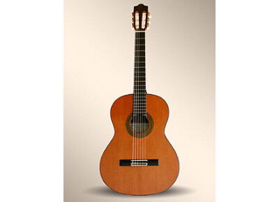Alhambra Guitars 8 P