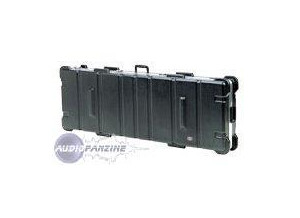 Bach Vincent Flight Case