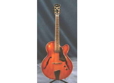 Landscape Guitars AR-1