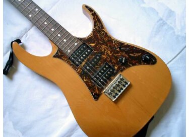 Ibanez RT100