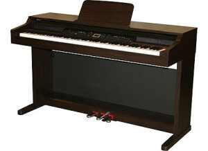 Thomann DP40RW/C