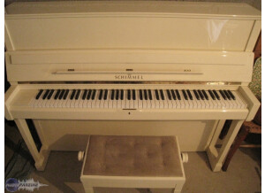 Schimmel 118 T