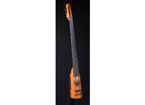 Ns Design Bass Cello