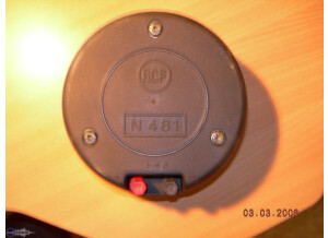 RCF N481