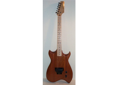 Hoag Guitars K-Max