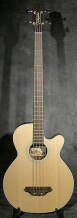 Takamine B4