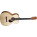 See the photo of the Fender ESV-10 E Fender ESV-10 E