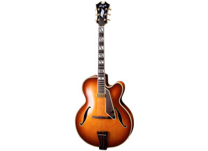 Aria D'Aquisto DQ-NYE New Yorker Electric