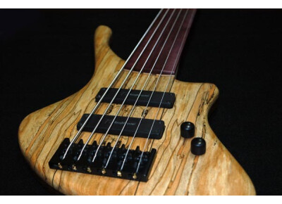 L. Kah Basses Remige 6 Fretless