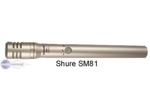 Shure SM81