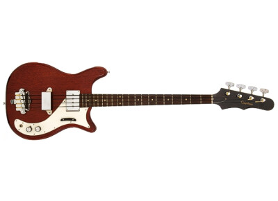 Epiphone Newport EBS