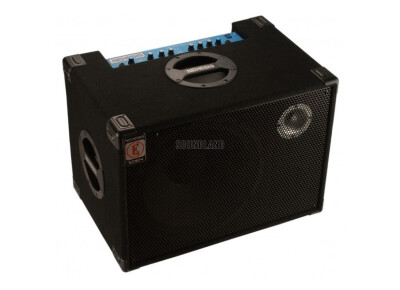 Eden Amplification NC115