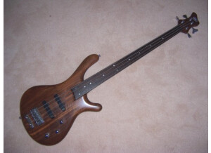 Mayones Be 4 Fretless