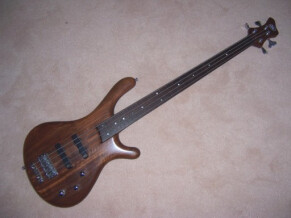 Mayones Be 4 Fretless