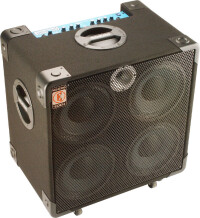 Eden Amplification NC410