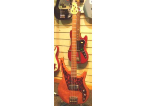 Status Graphite Shark 4