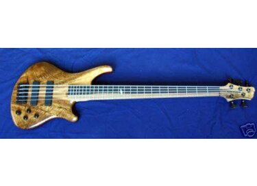 Roscoe Guitars SKB 3005