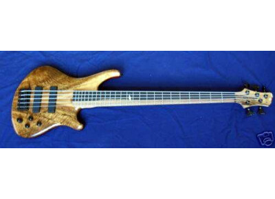 Roscoe Guitars SKB 3005