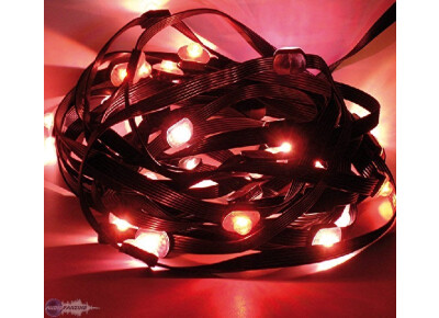 Starway STARBelt