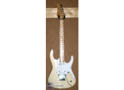 Cem Guitars SilverSword Plus