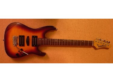 Washburn Mercury Custom Shop