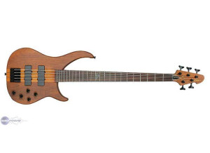 Peavey Cirrus 5 BXP