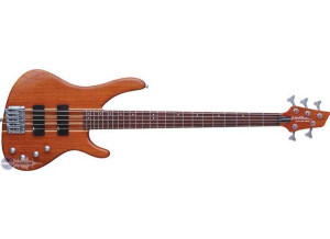 Washburn Force 5