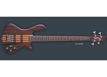 Washburn T24