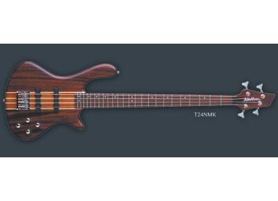 Washburn T24