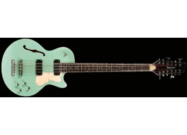 Waterstone Guitars 12 strings bass