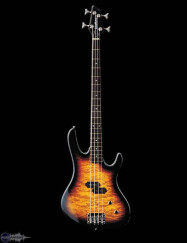 Washburn XB100