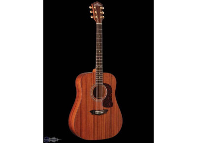 Washburn WD18SW