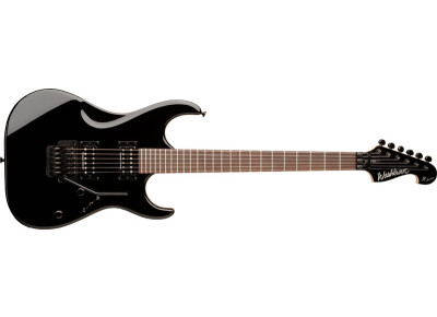 Washburn X40PRO