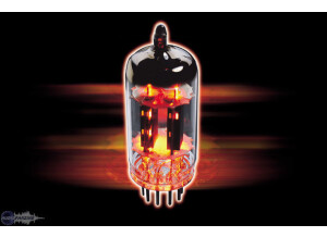 Marshall ECC83 / 12AX7