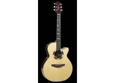 Takamine DSF48C