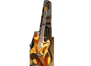 Ibanez TCY20